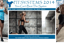 Tablet Screenshot of fitsystems.com